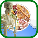 ir.tinasoft.oloom_sevom_s