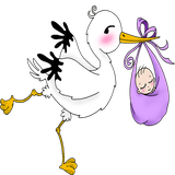 main.midwiferyassistant