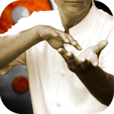 ir.tinasoft.thichi_movements