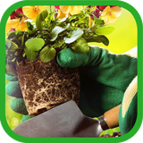 ir.tinasoft.baghbani