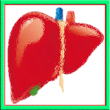 sekandari.app.kabedd