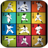 com.sherifapps.ShotokanKarateKatas