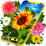 sun.flower.live.wallpaper