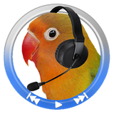 com.yimanxin.soundtest