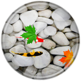 com.aliheidari020.wallpapermahi