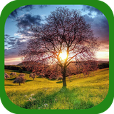 com.appcreater.naturewalls1