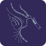 ir.smgroup.serajfestival