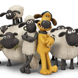 barenagla1.m.sargrmikodk