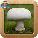 parvaredh.gharch.korakil