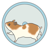 jp.co.REIRI.hamsterwidget