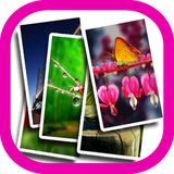 com.appcreater.artwalls1