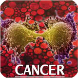 ir.s.r.d.danes.saratan