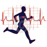 bengamin.varzeshdarman