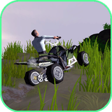 com.bitofgame.QuadKing2