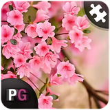 com.persiagraph.puzzroid2016.spring