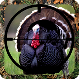 com.andromo.dev449071.app861960