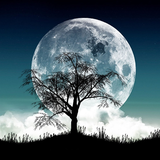 net.headnum.kream.gothememaker.lite.gtm814851558e6c7b9c7cc59f44a1611462