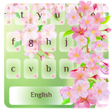 keyboard.theme.k820001323