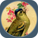 ir.tinasoft.tales_steady.mantegh_teir