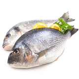 com.recipedroid.fish
