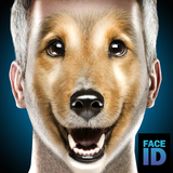com.goldenfactoryrabbits.whatareyoudogfaceidscanner