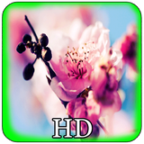 com.wflowerwallpaperhd_4185916