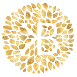 com.b2c60dd0654c.www