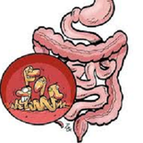 com.angalvabimarihayean.irr