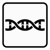 ir.olgohae.verasat.d