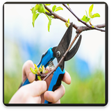 com.pishtaz_ht.haraskardan