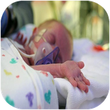 shafagh.zaymanezodras