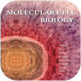 ghotbi.zistshenasiemolokuli