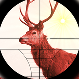 com.zaka_creative.deer.hunter.expert