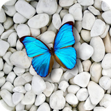 com.stonewallpaper.lovestonewallpaper.stoneshdwallpapers.stone.wallpaper