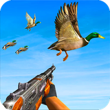 roya.shekar.morghabi