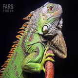 ir.iguanaaaaa.sabzshop