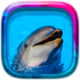 com.happy.studio.puzzle.fishes