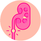 ir.a_g_n.sangekoliye