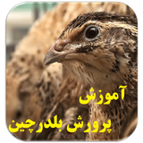 com.ghsoft.belderchin