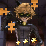 app.puzzle.chatnoir