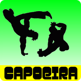com.sportsapps.capoeira.lessons