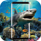 com.wallpaper.sam.tim997.shark