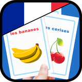 ir.tinasoft.french_flashcard
