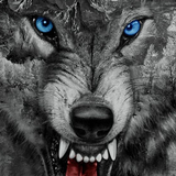 com.roaring.wild.wolf.theme