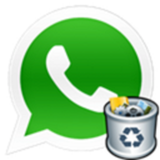 cat.diinorhaiu.seensmashugaiua