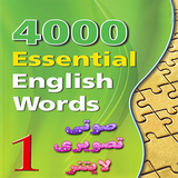 zh.snowman.sm_4000_b1