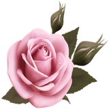 pargolvgya.pargolvgya37