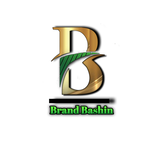 com.brandbashin.brandbashin