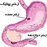 com.rahhayedarmandardmede.rahhayedarmandardmede