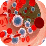 golestan.saratanekhon